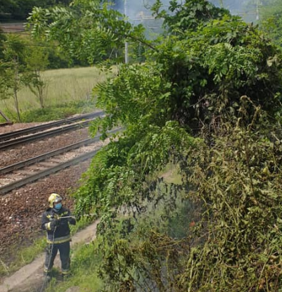 Böschungsbrand entlang der Brennerbahnlinie