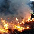 Brand entlang der Bahnlinie