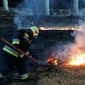 Brand entlang der Bahnlinie